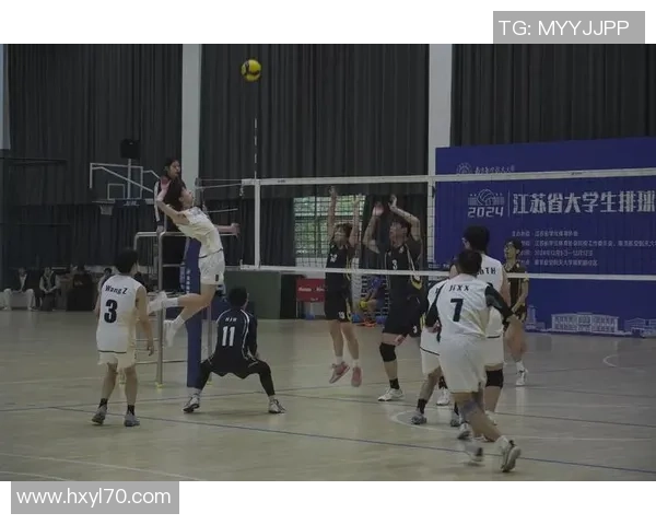 排球盛宴：深入武汉排球队的耐力训练与精神探索